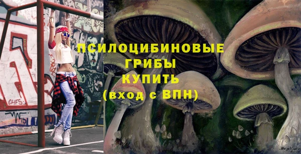 мдпв Абдулино