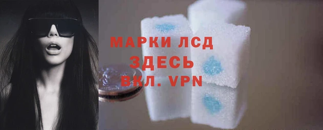 кокс Ростов