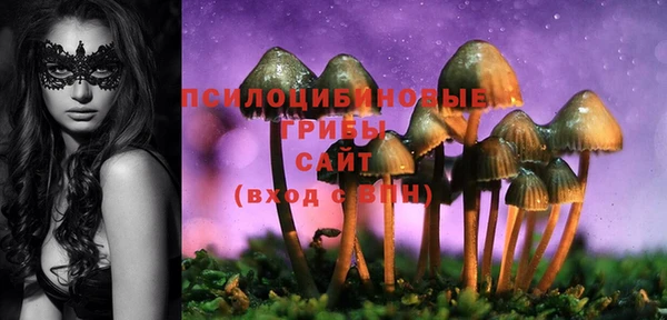 хмурый Абинск
