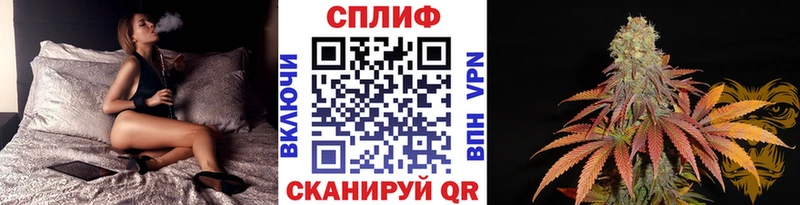 Бошки марихуана White Widow  hydra онион  Киселёвск 